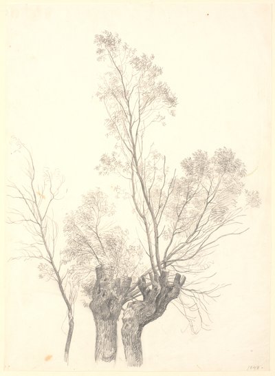 Studie af stynede piletræer. af P.C. Skovgaard