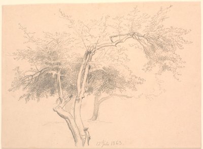 Studie af trætoppe. af P.C. Skovgaard