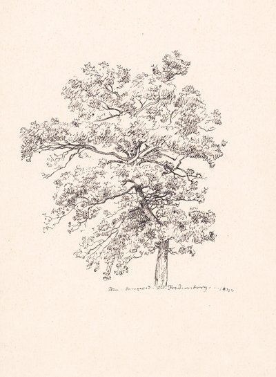 Træ ved Fredensborg af P.C. Skovgaard