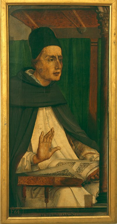 Albert den Store (olie på lærred) af P. (c.1450 1504) Joos van Gent and Berruguete