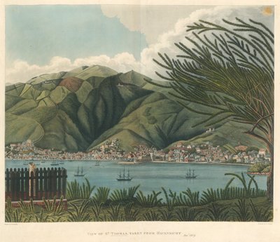 Udsigt over St. Thomas, taget fra Havensicht, 18. januar, litografi af Joseph Constantine Stadler (fl.1780-1812) af P. M. (after) Vieillot