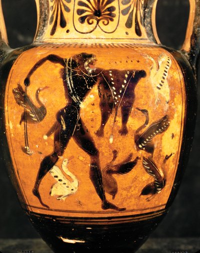 Herkules kæmper mod de stymphaliske fugle ... af Painter Diosphos