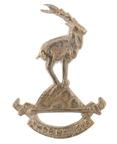 Kasketmærke, Zhob Militia af Pakistani School