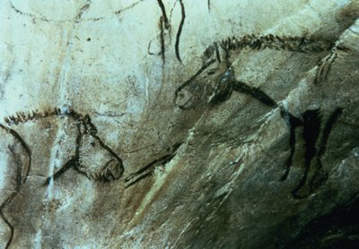 Heste, klippemalerier i det sorte rum, Magdalenian (hulemaleri) af Paleolithic Paleolithic