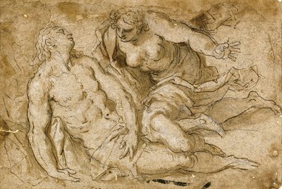 Venus opdager den døde Adonis (sort kridt, pen og brunt blæk på papir) af Palma Il Giovane