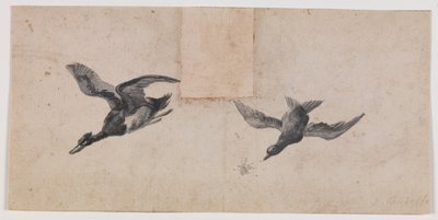 To flyvende fugle af Pandolfo Reschi
