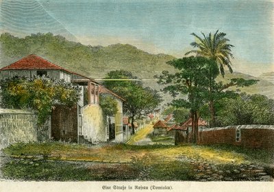 En gade i Roseau, Dominica, c1880. af Pann