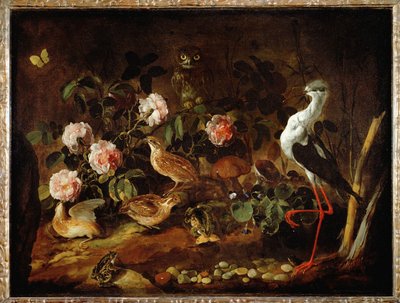 Stilleben med ugle og ibis - Nature morte avec une chouette et un ibis ... af Paolo Porpora