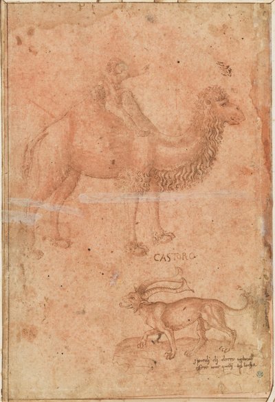 Ein Kamel mit einem reitenden Kind. Darunter ein fabelhaftes Tier (Castoro) af Paolo Uccello