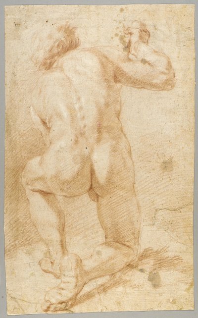 Tegning af Paolo de Matteis