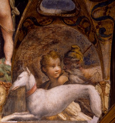 Hund og jæger, fra Myth of Diana and Actaeon af Parmigianino