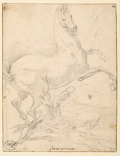 Omvendelse af Saint Paul (recto) af Parmigianino