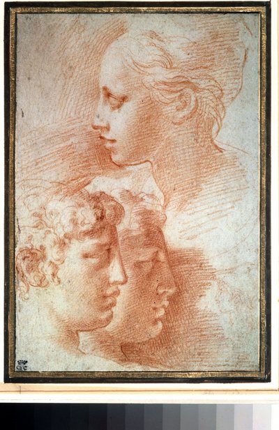 "Etude de tetes" (Studie af hovederne). Ung pige og drenge ansigtsprofil. Tegning af Girolamo Francesco Maria Mazzola eller Mazzuoli dit il Parmigianino (Parmesanen) af Parmigianino
