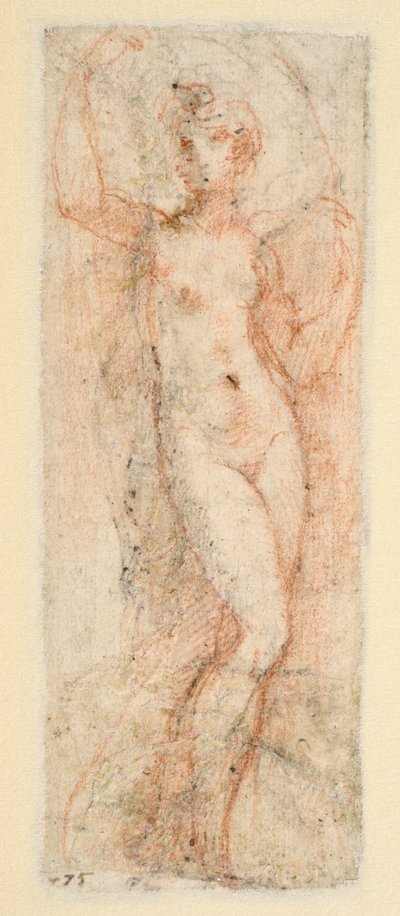 Kvindefigur - studie til Steccata (verso) af Parmigianino