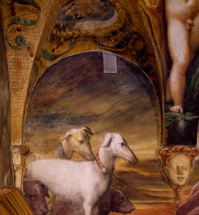 Gruppe af hunde, fra Myth of Diana and Actaeon af Parmigianino