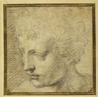 Hovedet af en dreng, næsten i profil til venstre (sort kridt på tonet papir) af Parmigianino