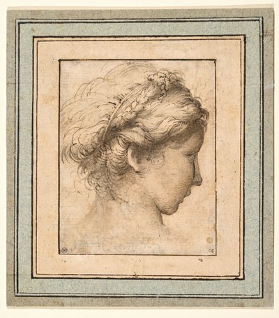Profilhoved af en pige, der kigger til højre af Parmigianino