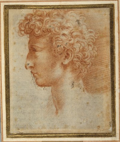 Profil af en ung mand (rødt kridt på hvidt papir) af Parmigianino