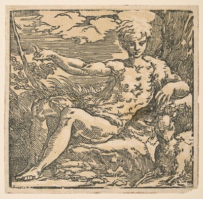 Johannes Døberen i ørkenen af Parmigianino
