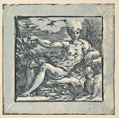 Johannes Døberen i ørkenen af Parmigianino