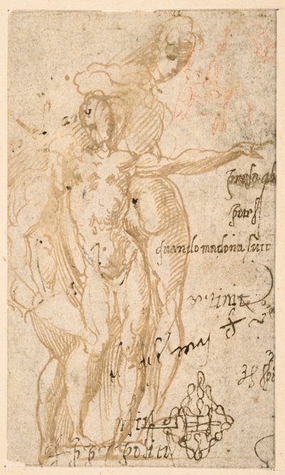 Studie af tre nøgenfigurer (recto) af Parmigianino