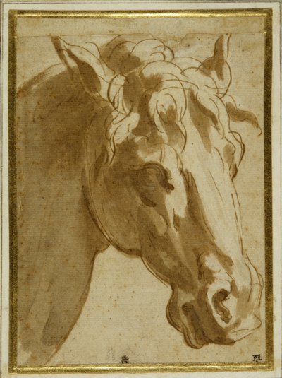 Hovedet og halsen på en hest (pen & brunt blæk med vask på cremepapir) af Parmigianino