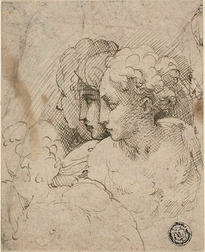 Kvindelige hoveder af Parmigianino