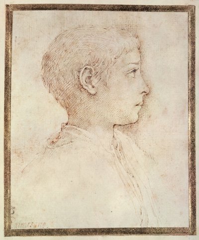 Hoved af en dreng af Parmigianino