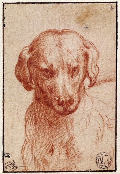 Hoved af en hund (rødt kridt på papir) af Parmigianino
