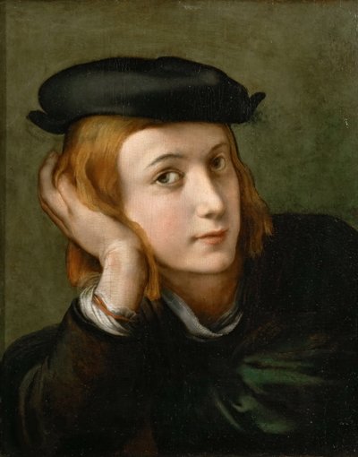 Portræt af en dreng, ca 1524. af Parmigianino