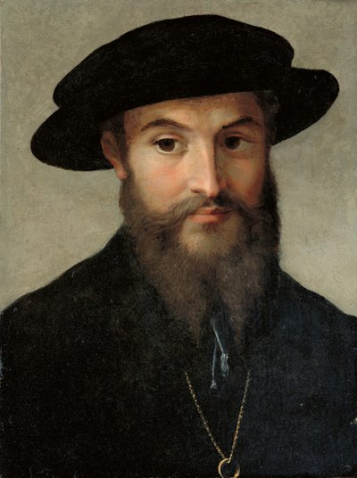 Portræt af en skægget mand af Parmigianino