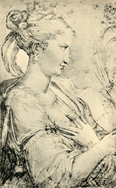 Studie af Saint Catherine, c1530-1540, 1943. af Parmigianino