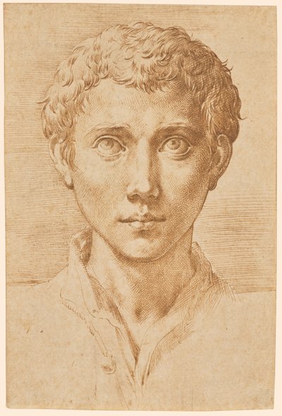 Hovedet af en ung mand af Parmigianino