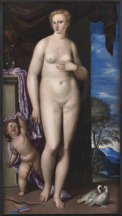 Venus og Amor af Parrasio Micheli