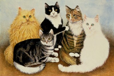 Kattens vugge af Pat Scott
