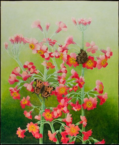 In the Pink, 2011 (akryl på calico) af Pat Scott