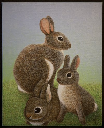 Familien Kanin, 2016 af Pat Scott