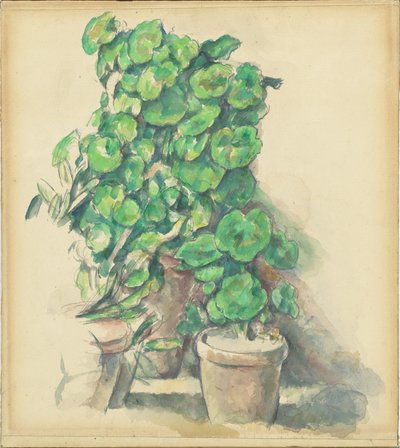 Pelargonier af Paul Cézanne
