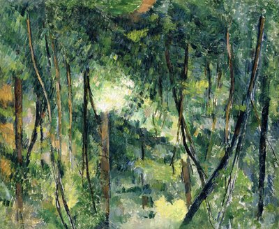 Underskov, c.1885 af Paul Cézanne