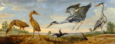 Bitterner, hejrer og vandskinner i et landskab af Paul De Vos