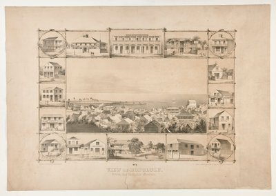 Udsigt over Honolulu, fra den katolske kirke (nr. 3) af Paul Emmert