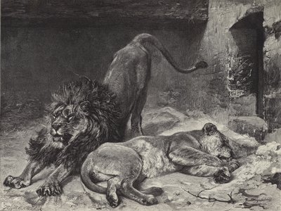 Løvens opvågning af Paul Friedrich Meyerheim