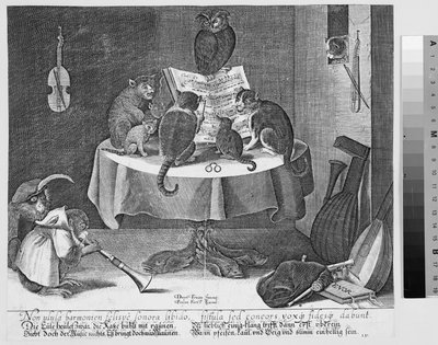 Koncert af ugle, katte og aber af Paul Fürst