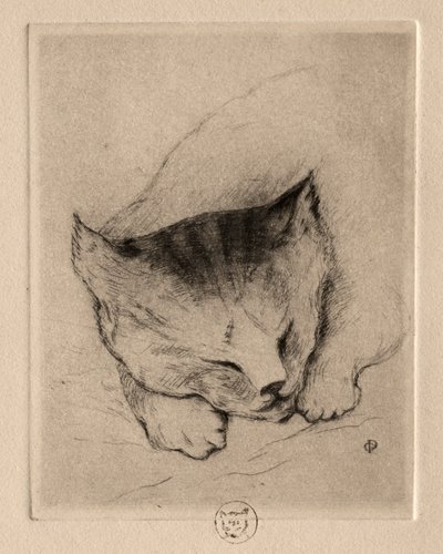 Seks ætsninger: Head of a Kitten, 1895. af Paul Gachet