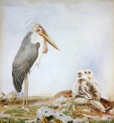 Holy Marabou (akvarel og blyant på papir) af Paul Grabwinkler