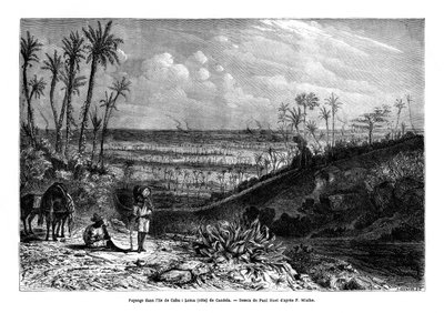 Landskab på øen Cuba, 1859 af Paul Huet