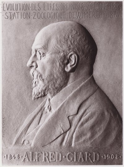 Alfred Giard (1846-1908), zoolog, portræt (litho) af Paul Marie Louis Pierre Richer
