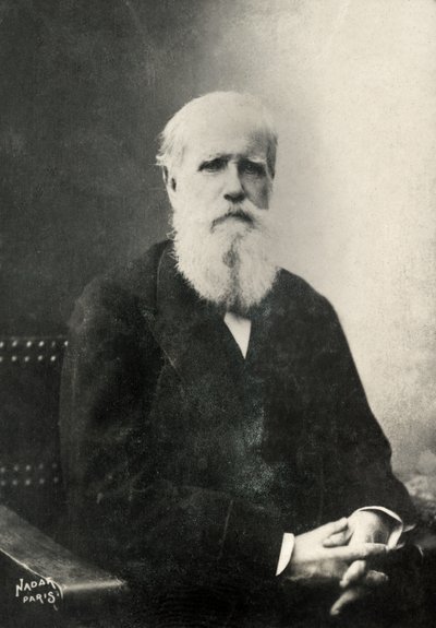 Portræt af Dom Pedro, kejser af Brasilien (foto) af Paul Nadar