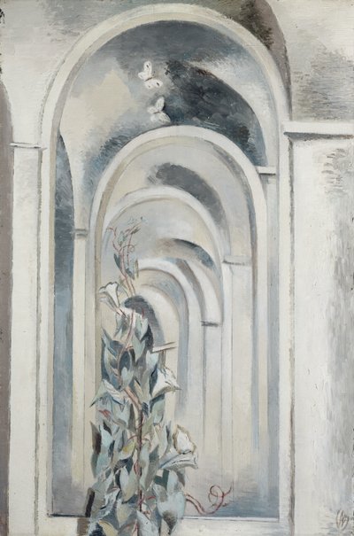 Convolvulus af Paul Nash