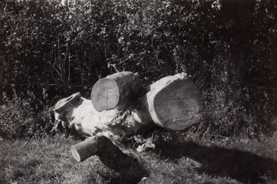 Find et objekt af Paul Nash